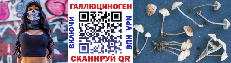 даркнет как зайти  Плавск  Псилоцибиновые грибы Cubensis 